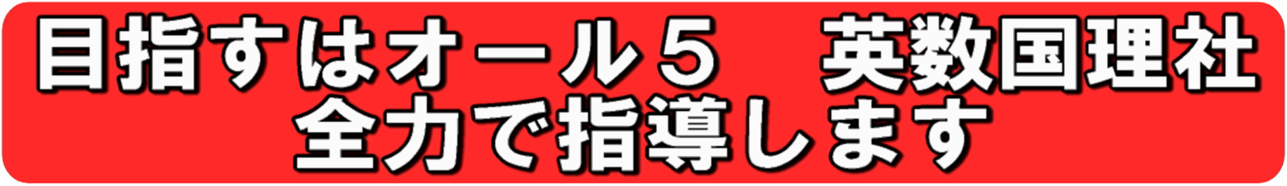 目指すはオール5　英数国理社　全力で指導します